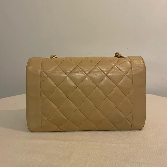 Chanel Beige Vintage Medium Diana Flag Bag - Picture 4 of 11